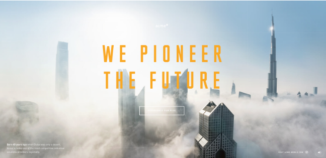 ACME Experience website example